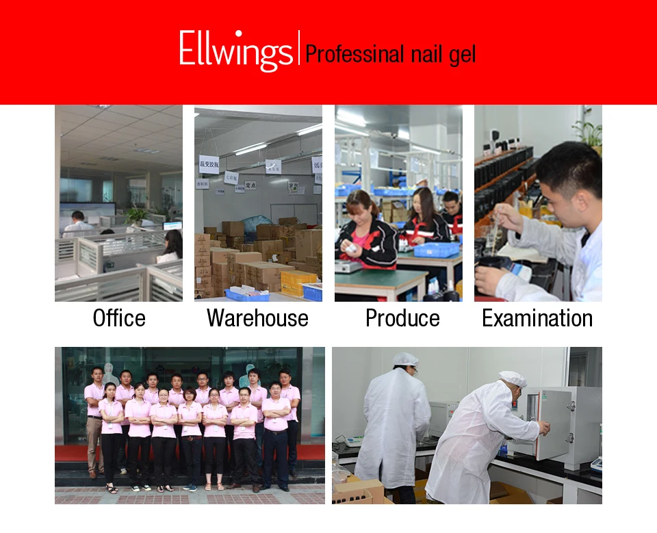 Ellwings__11