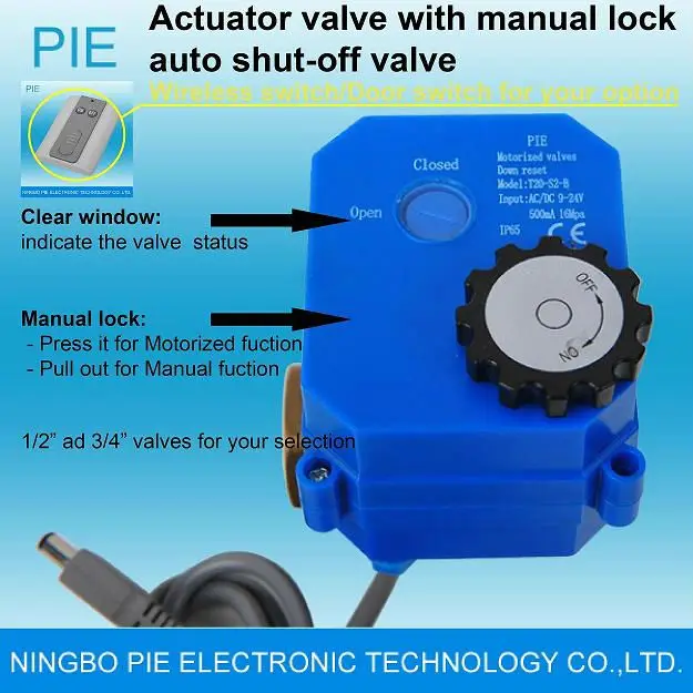Plumbing Air Condition Water Heater Hvac Leak Detection Alarm Automatic Water Main Shut Off Valve Valve Thread Valve Heatervalve Delphi Aliexpress