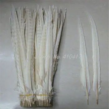 

Top Quanlity 50pcs Beige Color Ringneck Pheasant Tail Feather 20-22inches/50-55cm Plumes For DIY Decoration