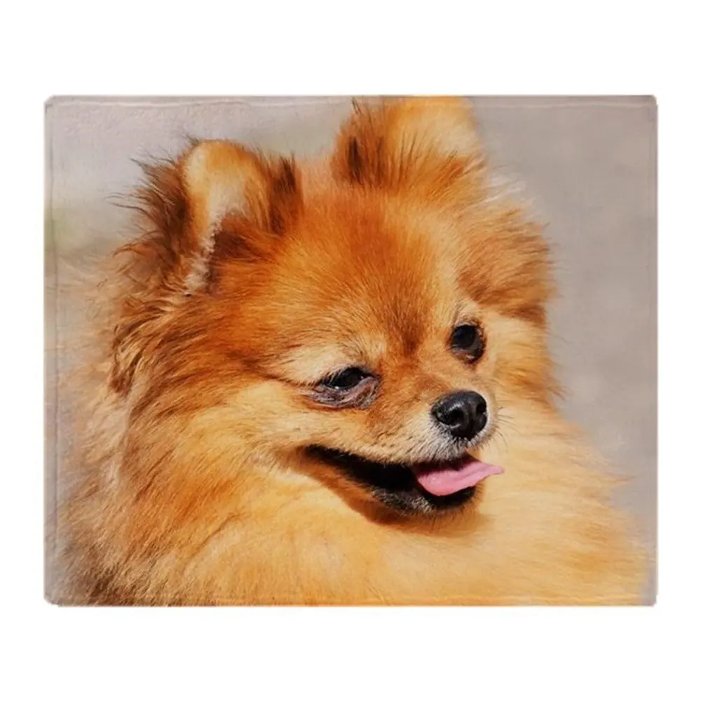 

Pomeranian Dog Portrait Soft Fleece Throw Blanket Fleece Super Warm Soft Throw on Sofa/Bed