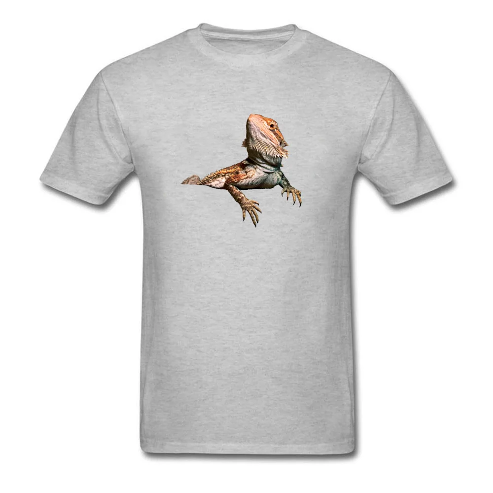Bearded-Dragon-PNG-Transparent-Image_grey