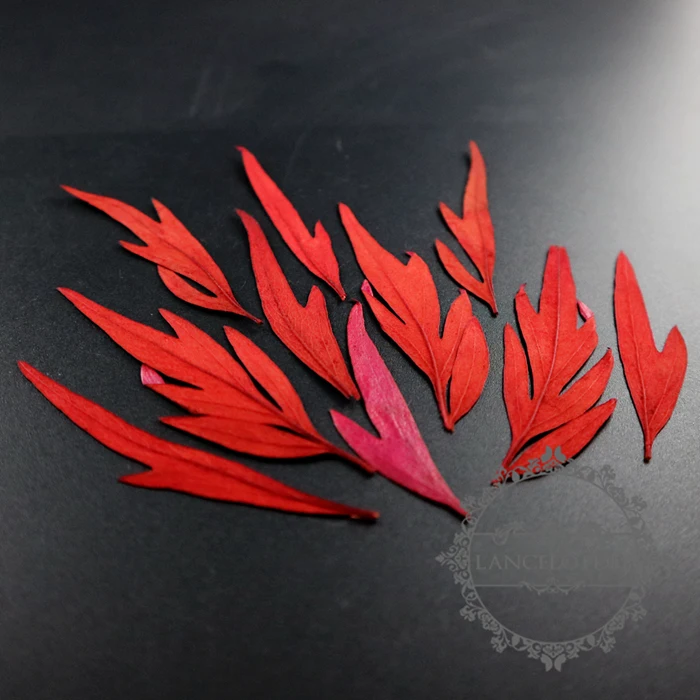 

small packs red fire leaf real dry pressed flower craft for DIY glass dome resin filling 1503103