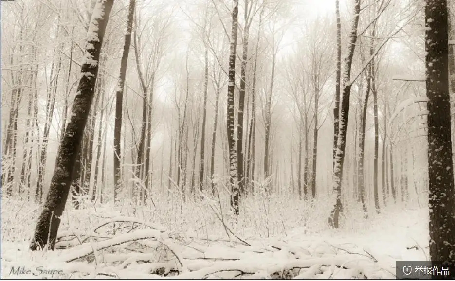 snow modern wallpaper for living room forest curtains wallpaper for walls 3 d for living room snow modern wallpaper for living room forest curtains wallpaper for walls 3 d for living room