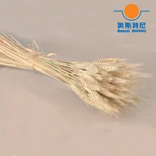 50 шт. Натуральные Сушеные Цветочные букеты натуральное сырье цвет сушеные уха пшеницы букеты пшеницы уха пучки