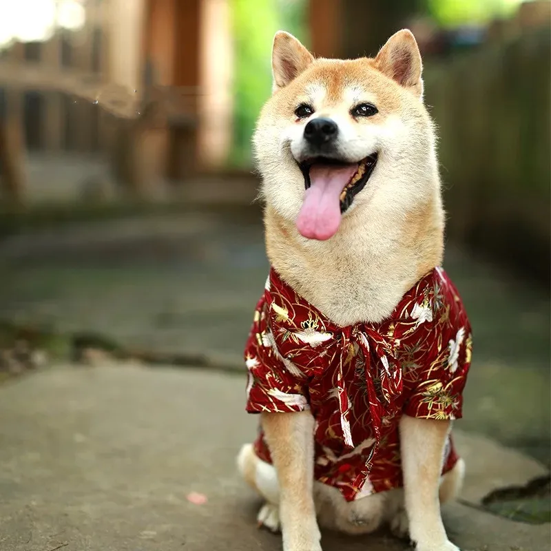 Мода Япония Кимоно рубашка для собак Рубашка для щенка Шиба ину летняя футболка одежда для домашних собак бульдог одежда для домашних животных Костюм GZC09