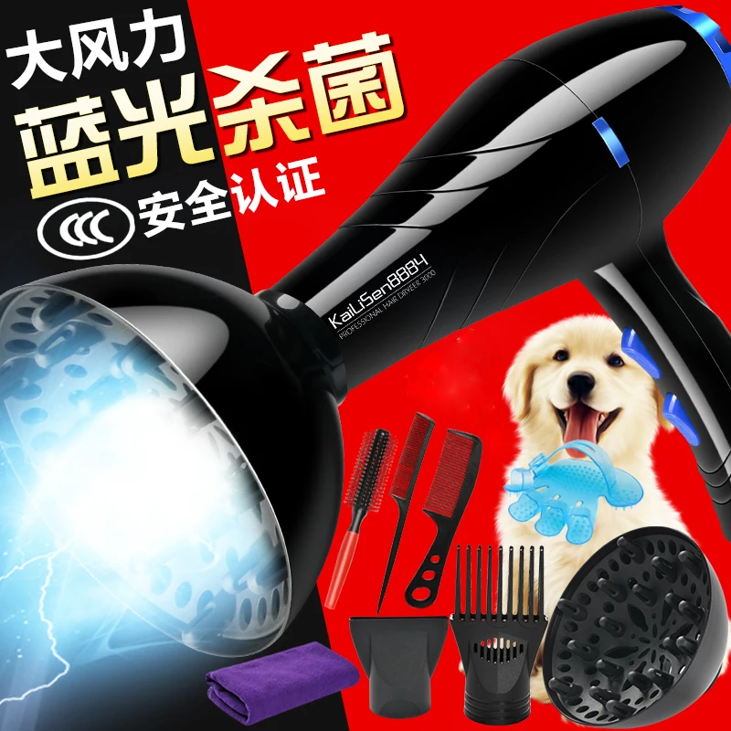 Portable Electric Pet Hair Dryer Water Machine High Power Mute Dogs