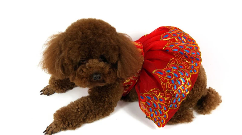 Китайский Cheongsam собака платье Летние Одежда для собак кошек Чихуахуа Йорк шпиц Пудель Бишон Шнауцер Pet костюмы Тан костюм