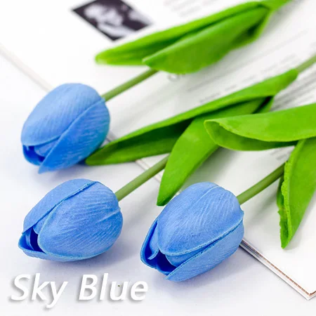 Tulipe double Touch-Bulbes de tulipes x 5 ampoules