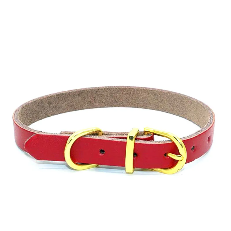 SYDZSW Real Leather Chihuahua Dog Collar Puppy Pet Collar leads for Small Dogs Cats Top Grade Golden Buckle Pet Dog Collar6