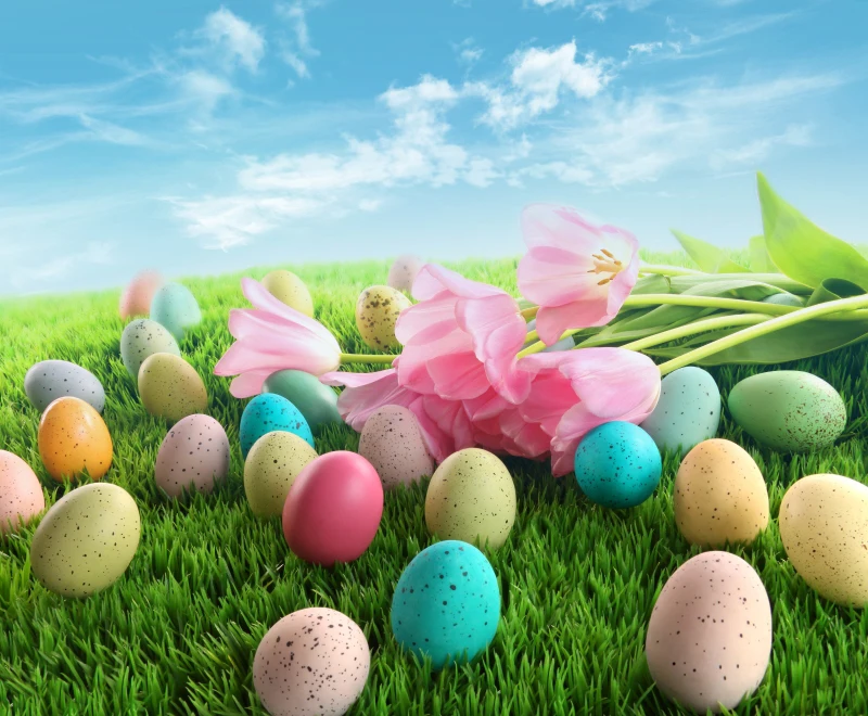 

HUAYI 7x5ft easter day backdrops for photography easter eggs backdrop cotton no wrinkles washable reuse backdrops XT-5207