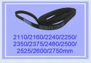 305 310 315 320 325 330 335