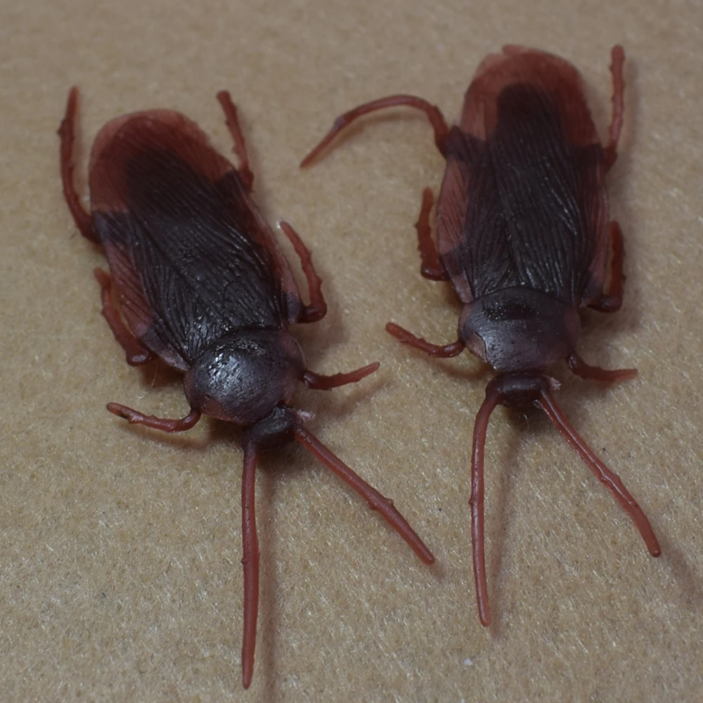 10PCS Lifelike Plastic Simulation Cockroach Tricky Joking Scary Gags Practical Jokes Toys for April Fool's Day Supply | Дом и сад