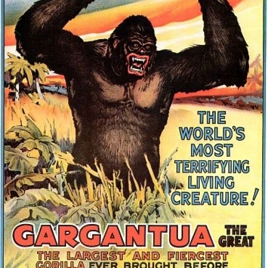 Gargantua The Great Gorilla circus Poster Print (36 x 54)