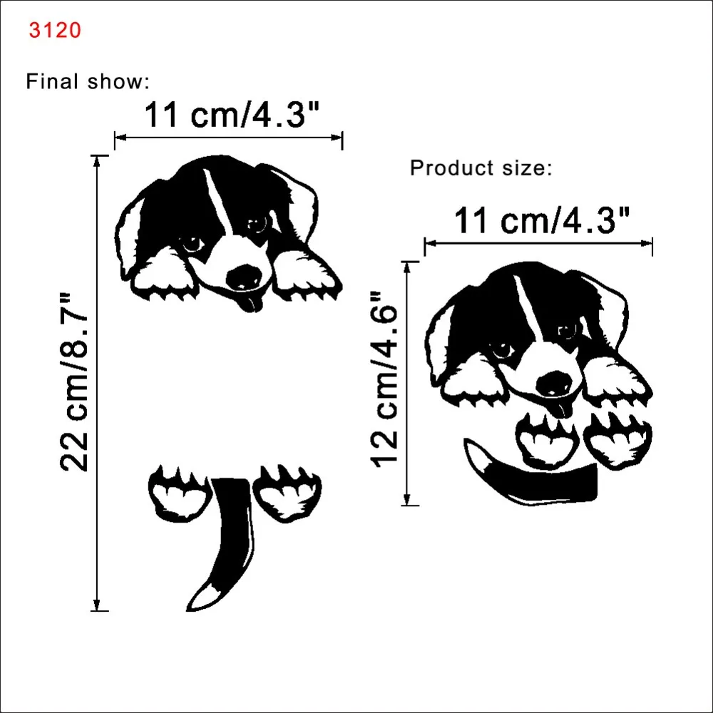 ZY3120 (2)