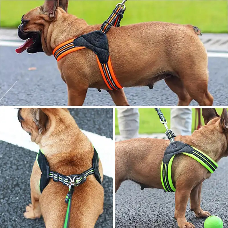 no choke harness for small dogs