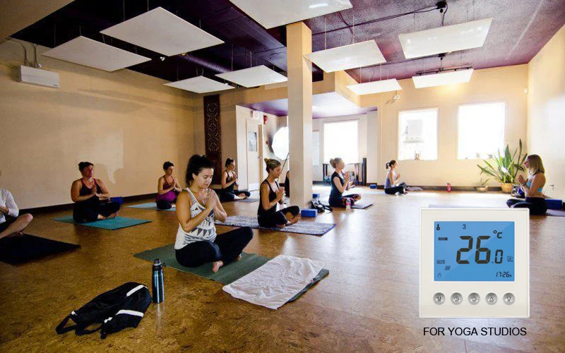 

780W Electric Panel Heater Heating Radiator Bedroom Yoga Studio Heating with WiFi Digital Thermostat
