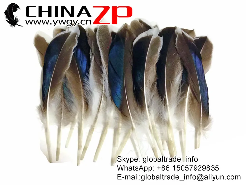 CHINAZP завод 50 шт./лот Размер 10-15 см Премиум handpicted естественный Радужный синий микс Кряква утиные перья