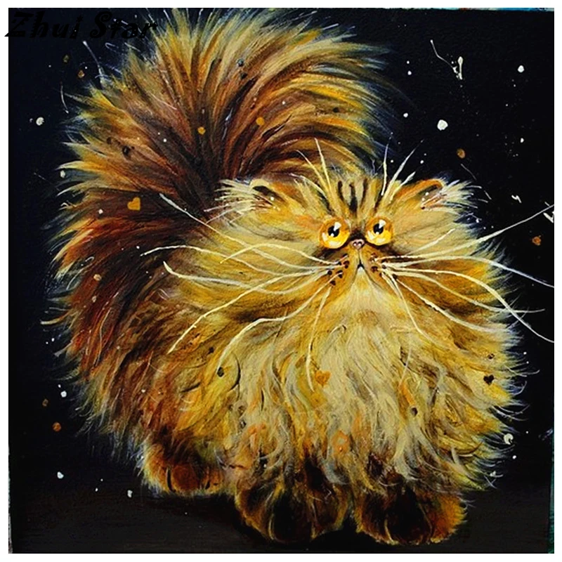     50x50