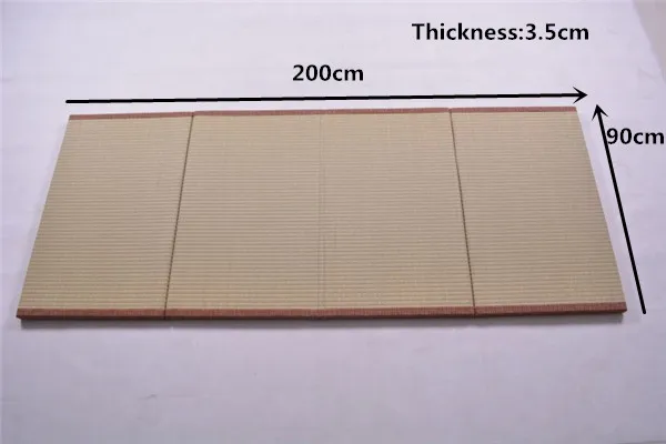 TM03 Size
