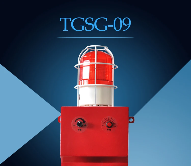 TGSG-09_01