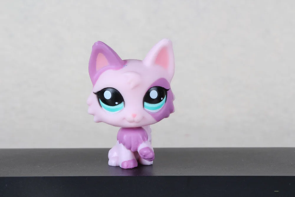 Cutie Littlest Pet Shop Lps 2100 Persian Wolf Cat Purple Pink Ear Loose Toy Other Toys Games Toys Games Other Toys Games Cutie Littlest Pet Shop Lps 2100 Persian Wolf Cat Purple Pink Ear Loose Toy Other Toys Games Toys Games Other Toys Games