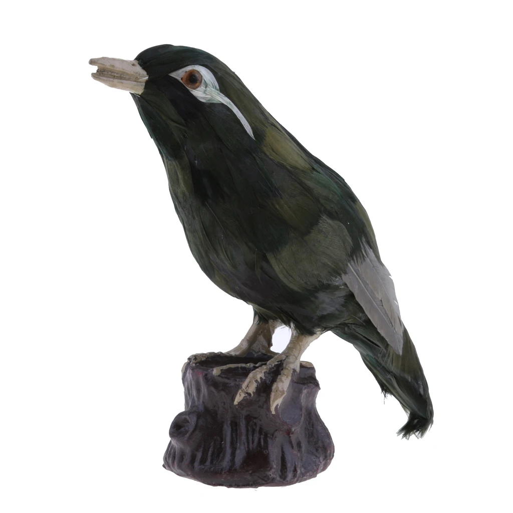 Живой искусственный Magpie, дятел, Shrike, Throstle, Павлин птица реалистичные Taxidermy украшения для дома и сада - Цвет: 2 Throstle