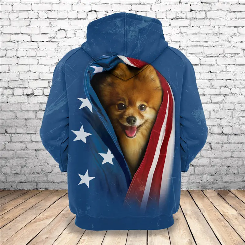 pomeranian_hd_b