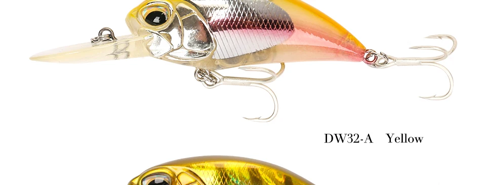 DW32-Y_31
