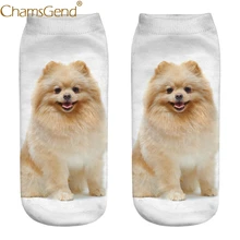 Chamsgend/Прямая поставка; повседневные милые хлопковые носки для женщин и девочек с 3D принтом шпиц; 80228