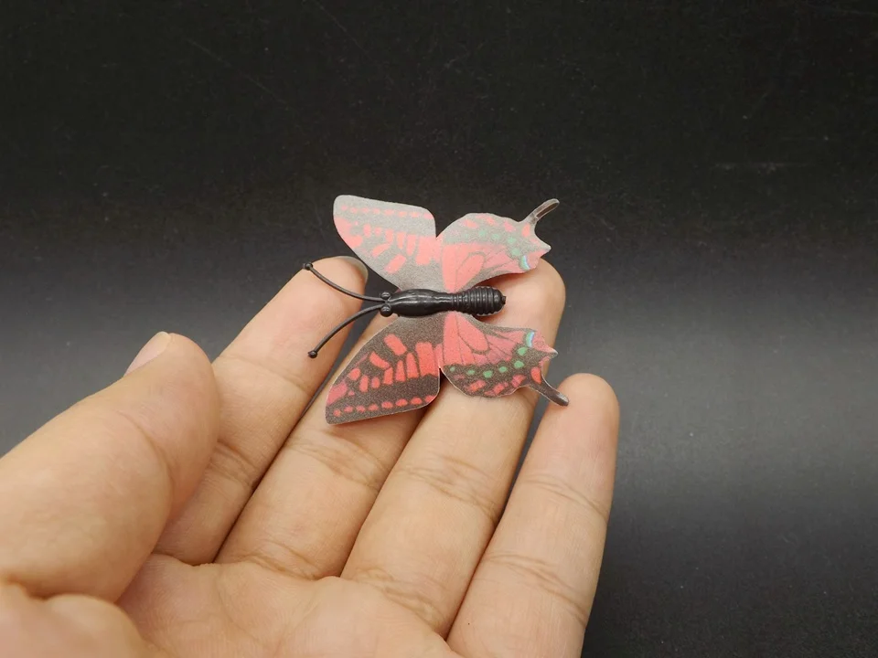I245-Butterfly (2)