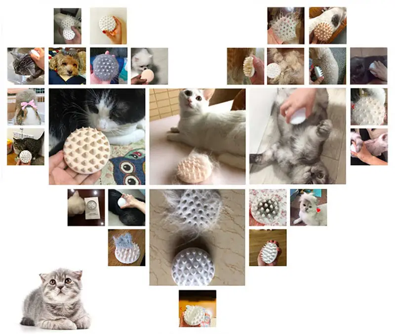 61mNV7R%2B-UL._SL1200_