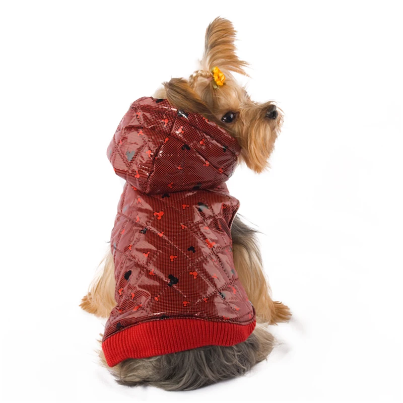 животные в одежде. куртка puppy gallery для собак оливковая с капюшоном l /pg1218е/. кофта для собаки. одежда для животных оптом. костюм собаки.