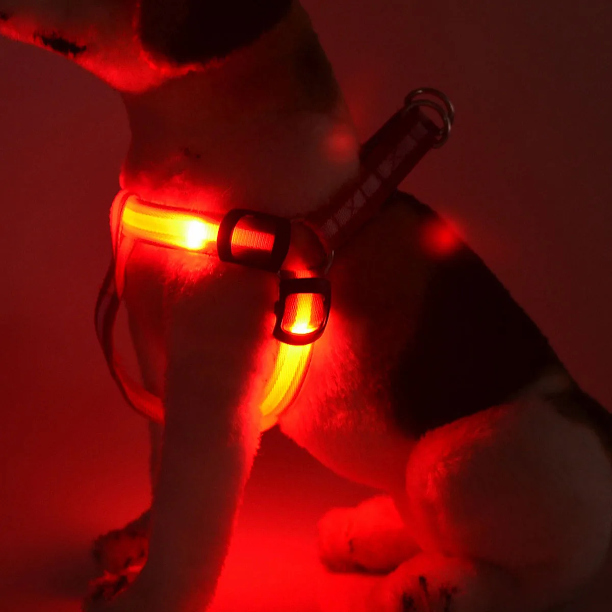 

Striped Pet Dog Chest Straps LED Light Harnesses Pet Belt Luminous Dog Harness for Medium Large Dogs