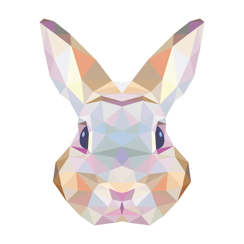 CS5050A0