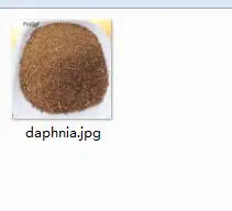500g daphnia 500 грамм набор daphnia коровья кость - Цвет: 500g daphnia