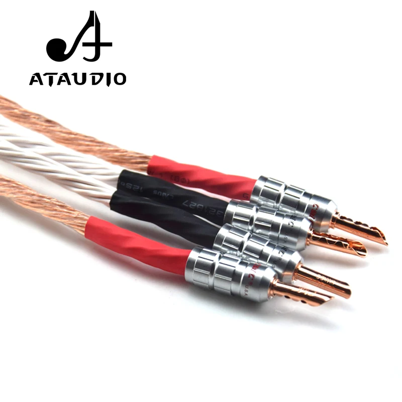 ATAUDIO 12TC Hifi акустический кабель с 2 разъемами типа банан на 4 разъема Hi end OCC провод