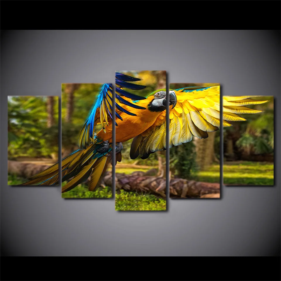 HTB1Yf83RpXXXXauXpXXq6xXFXXX6