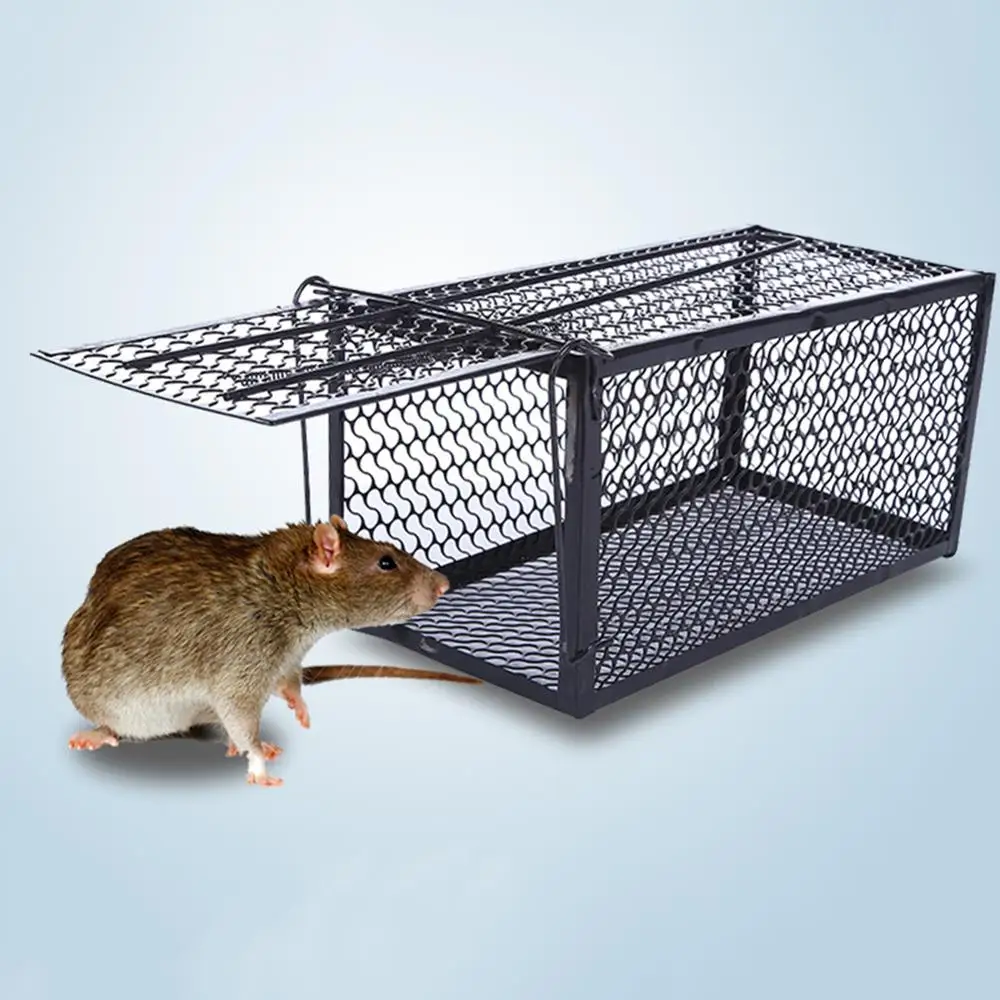 Rat trap bait