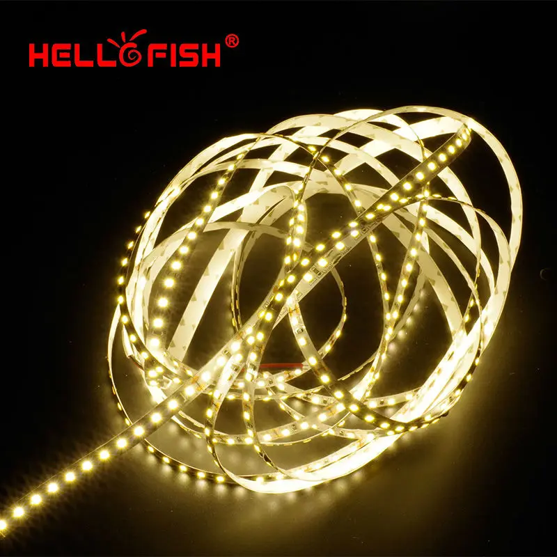 Светодиодная лента Hello Fish 2835 SMD 5 м 12 В гибкая светодиодная 600 белый/теплый