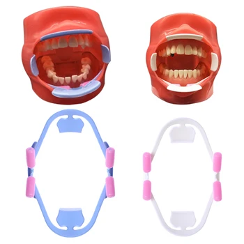 

1Pcs 2019 3D Oral Dental Mouth Opener Intraoral Cheek Reusable Lip Retractor Prop Orthodontic Adult Professional Oral Care Tools