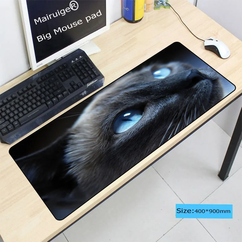 7021298-light-blue-eye-cat (3)