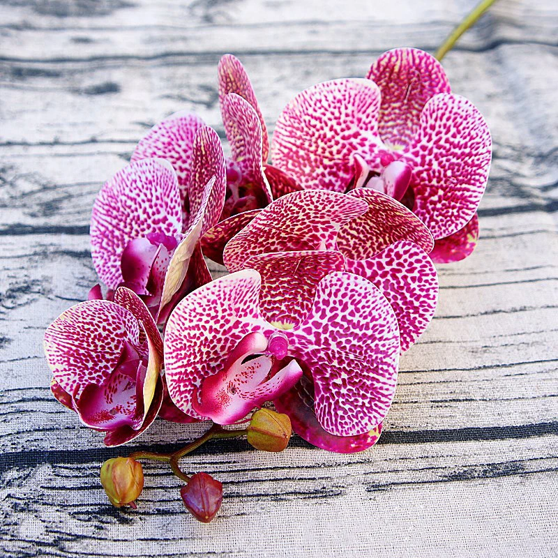 3D печать 6 головок искусственный Орхидея Шелковый фаленопсис для дома Свадебные украшения сада осенние украшения поддельные цветы - Цвет: Розово-красный