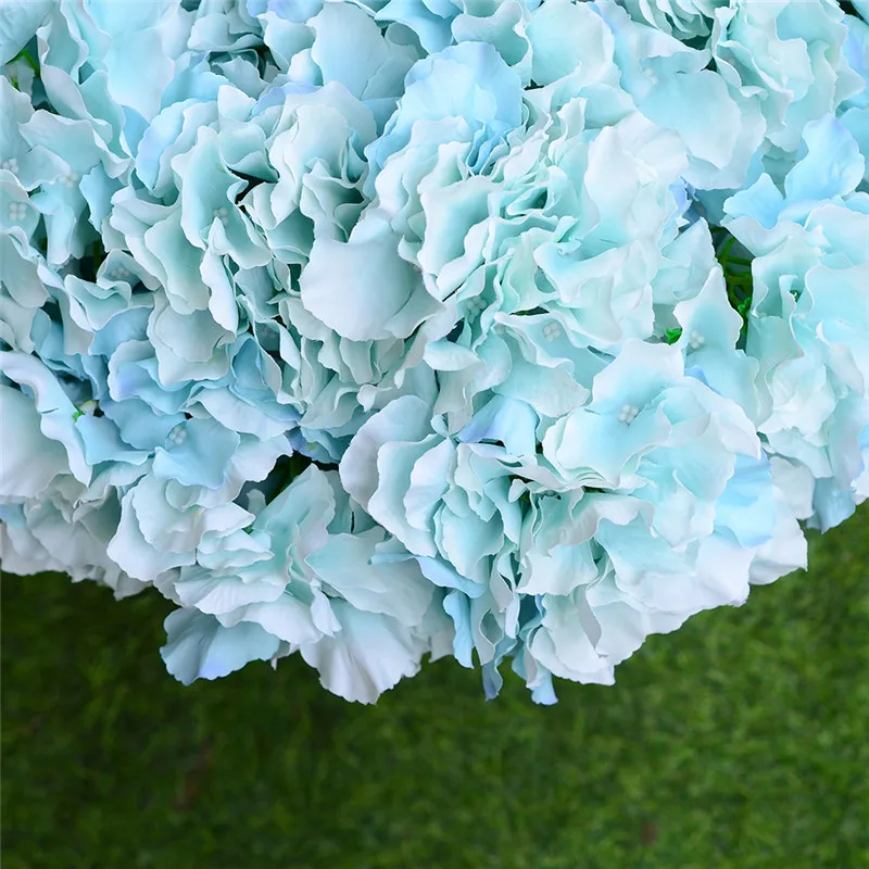 ZS461Lightblue (5)