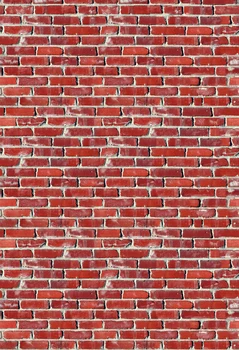 

HUAYI Background Red Brick Wall Photography Backdrop Custom Portrait Studios Newborn Background XT-5781
