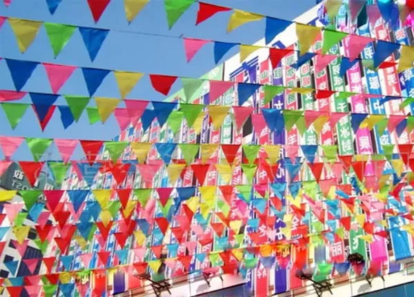 DH_color burgee flag dacron material -2