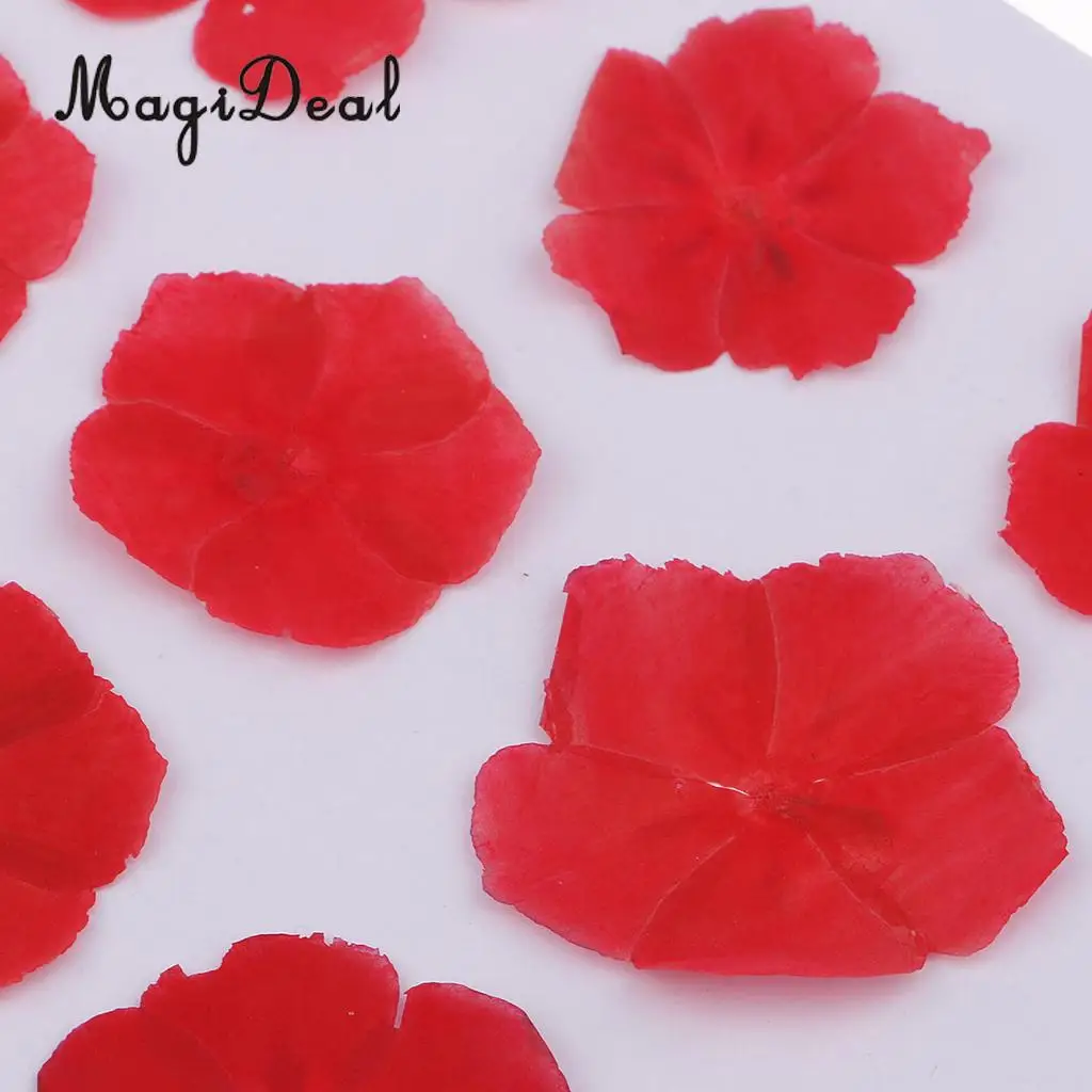 12 Pieces Natural Dried Flowers Real Flower Amaranthus for Kids Craft Card Making DIY Pendants Charms Jewelry