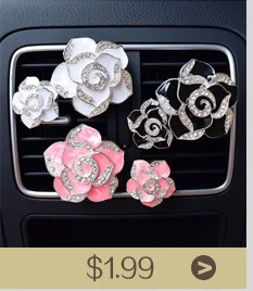 car air freshenem in the car perfume 5