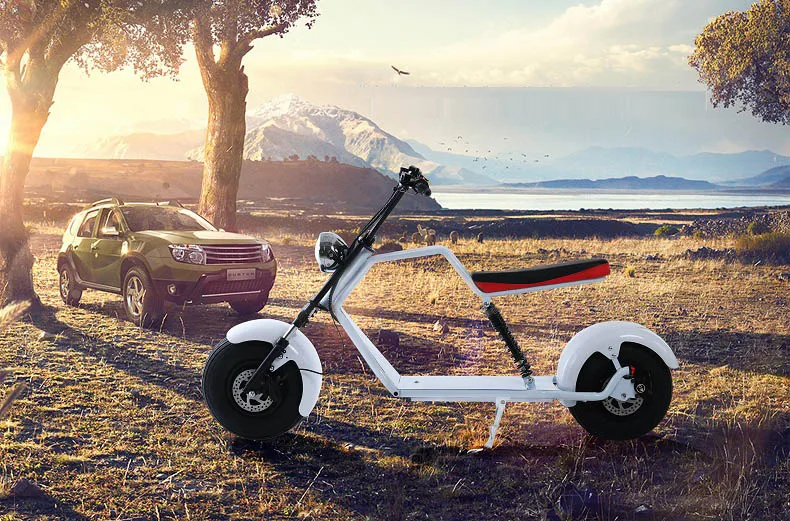 Электрический литиевый аккумулятор Citycoco скутер E bike 60В 12/20 Ач двойной дисковый