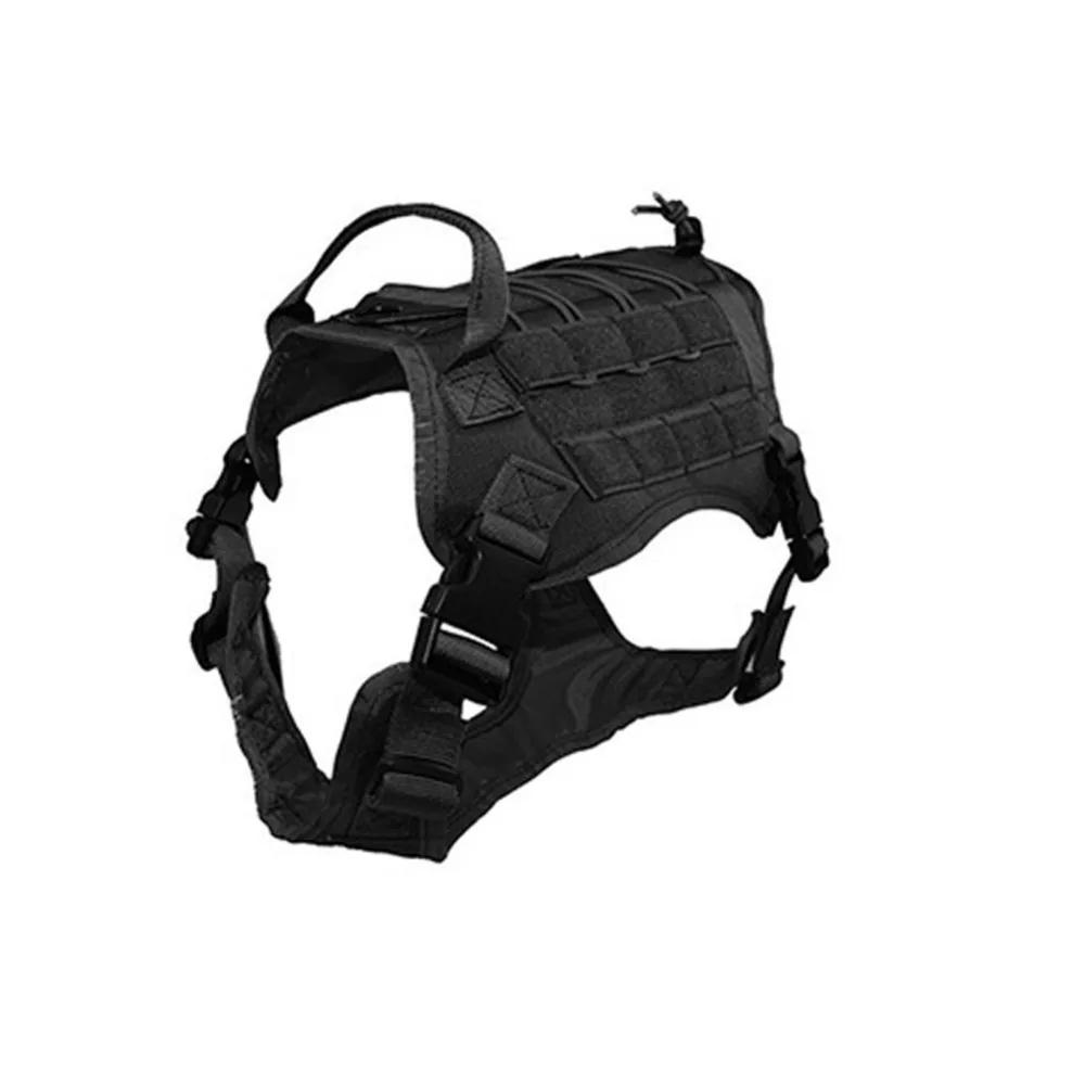 297736_no-logo_297736-2-01