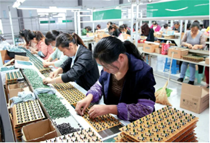 High Quality Segurança e Proteção